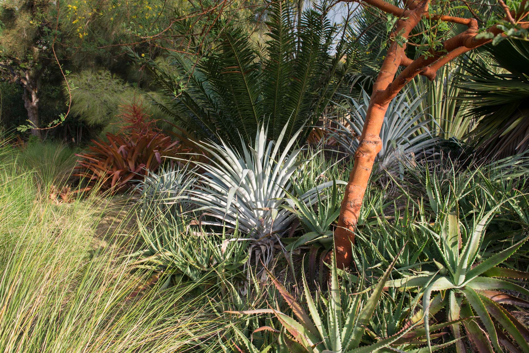 Golden-Rock-Inn-Garden-8