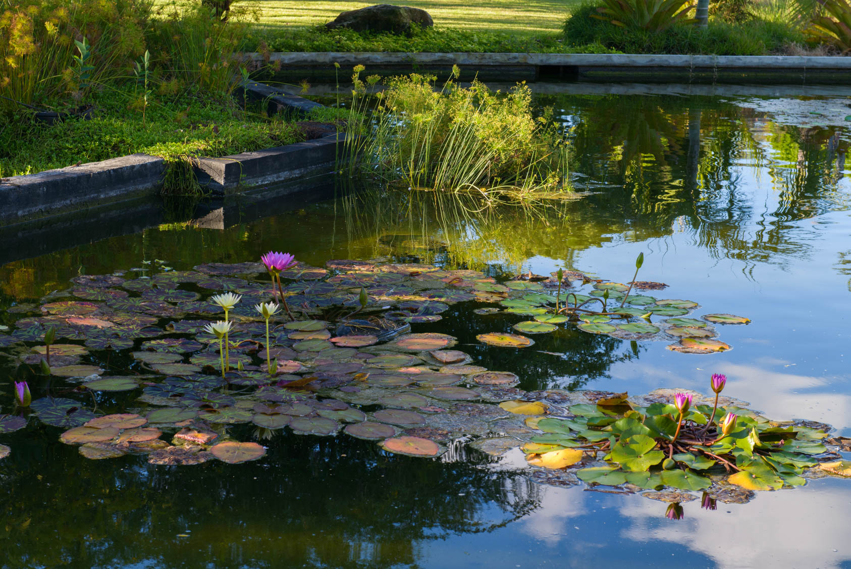 Miami-Beach-Bontanical-Garden-11