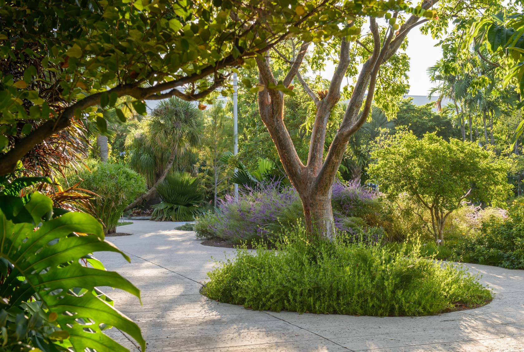 Miami-Beach-Bontanical-Garden-7