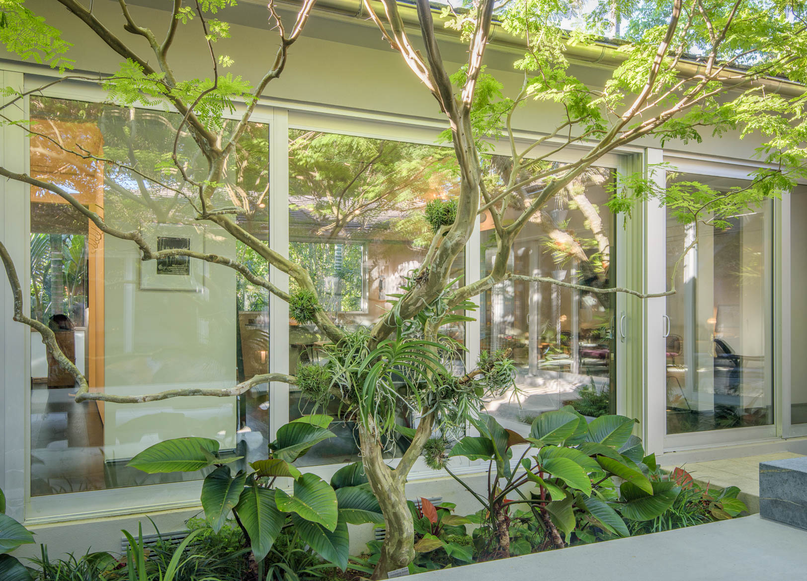 Miami-Beach-Residential-Garden-7